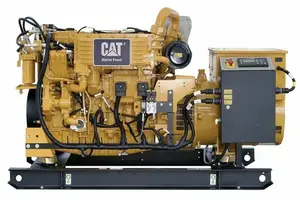 Caterpillar engine and generator set
