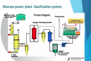 Professional Training of Biomass Power Plants
